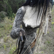 Illustration for article titled This freaky statue of a furry, hoof-handed woman will clip-clop into your nightmares